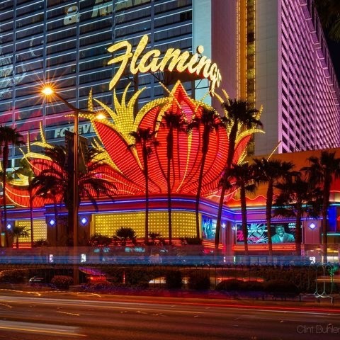 Flamingo Las Vegas